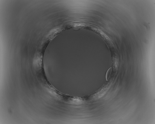X0000110700475200906121337