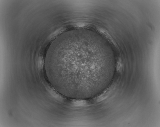 X0000110700476200906121337