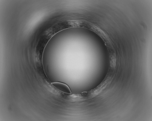 X0000110700477200906121337