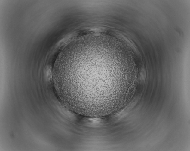 X0000110700478200906121337