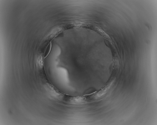 X0000110700479200906121337