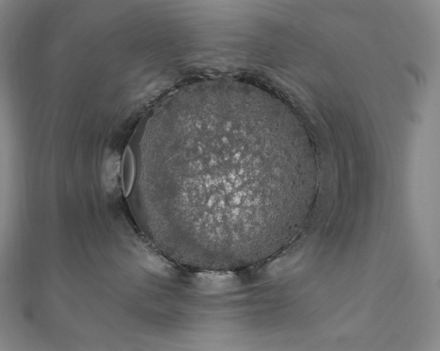 X0000110700480200906121337