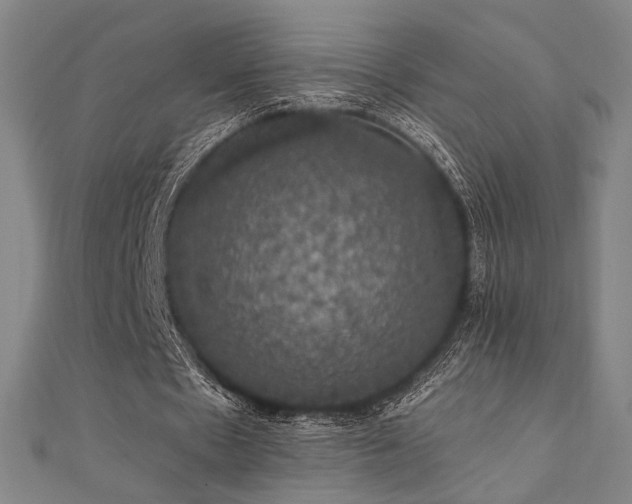 X0000110700481200906121337