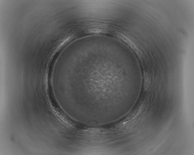 X0000110700482200906121337