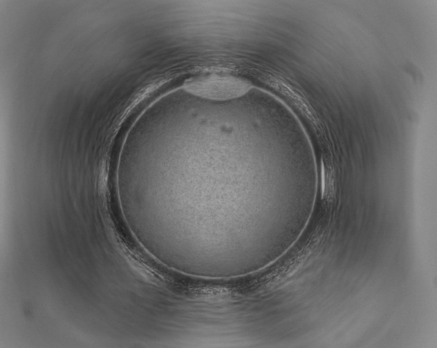 X0000110700483200906121337