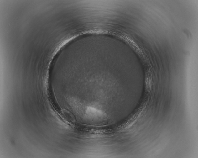 X0000110700484200906121337