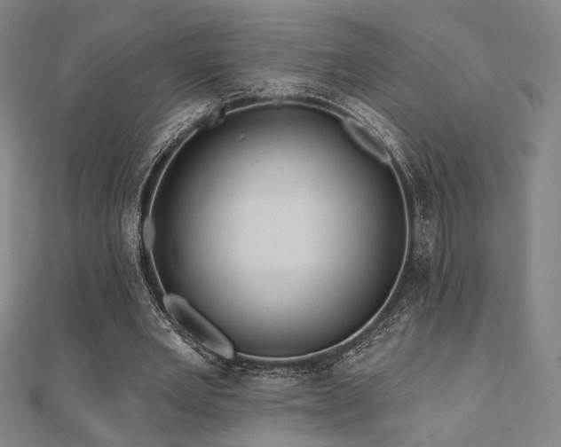X0000110700485200906121337