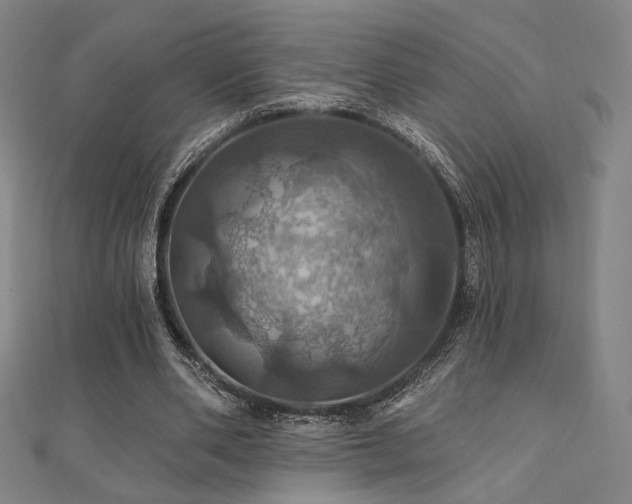 X0000110700486200906121337