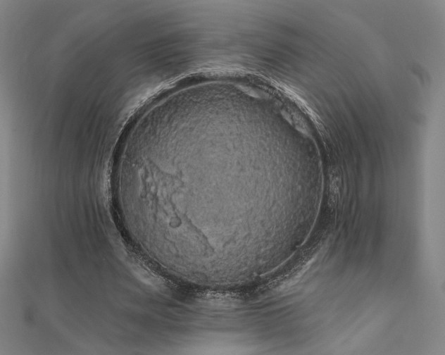 X0000110700487200906121337