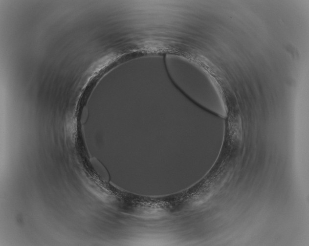X0000110700488200906121337