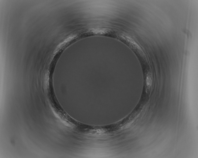 X0000110700492200906121336