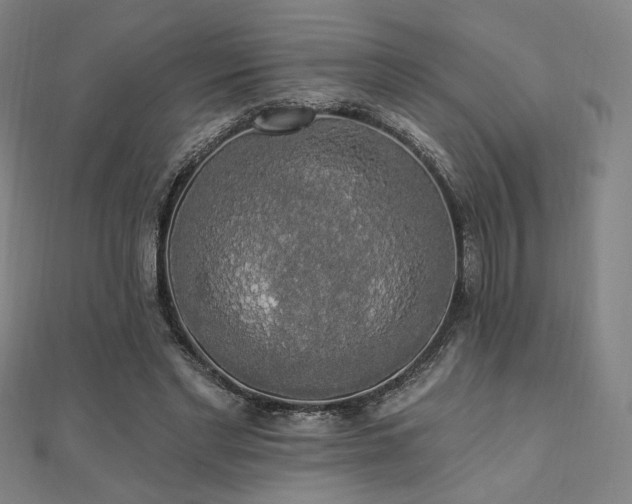 X0000110700493200906121336