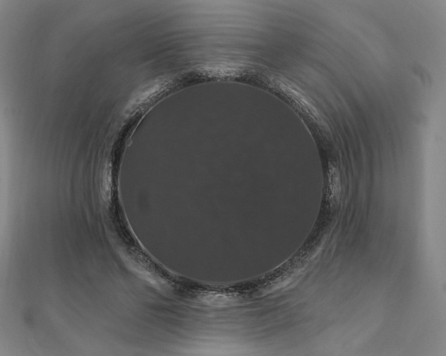 X0000110700494200906121336