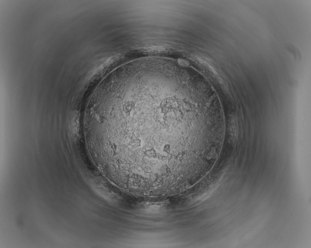 X0000110700495200906121336