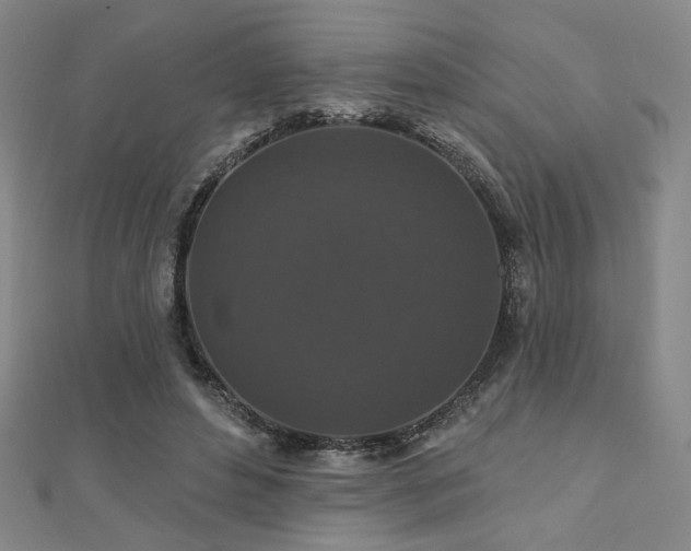 X0000110700496200906121336