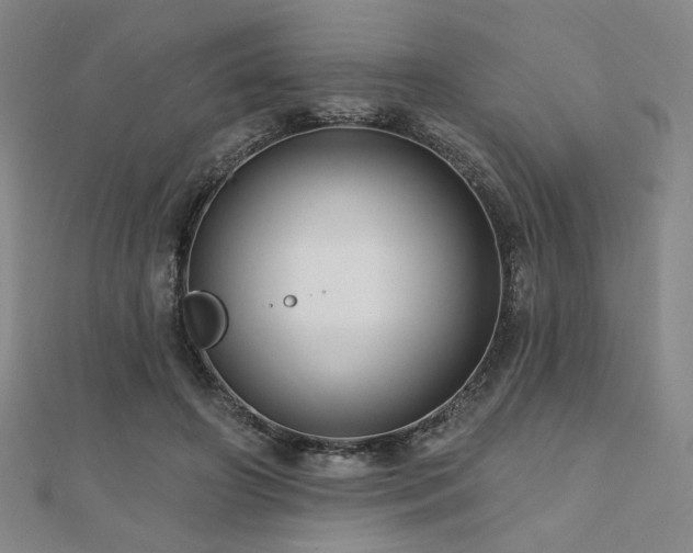 X0000110700498200906121336