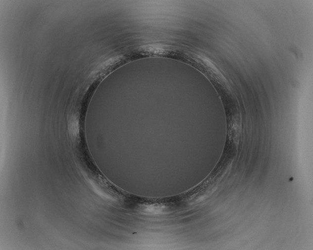 X0000110700500200906121336