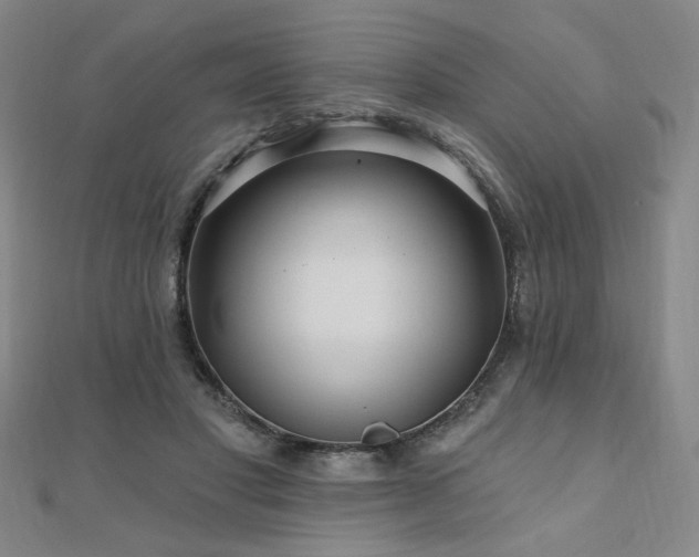 X0000110700501200906121336