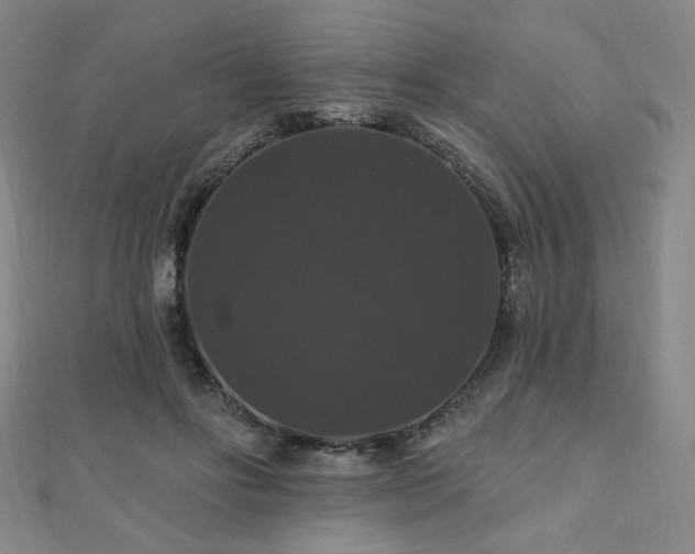 X0000110700502200906121336