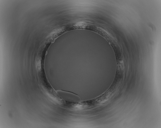 X0000110700504200906121336