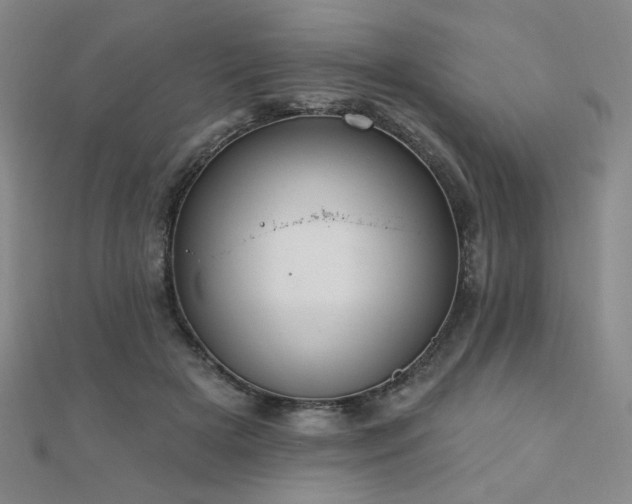 X0000110700505200906121336