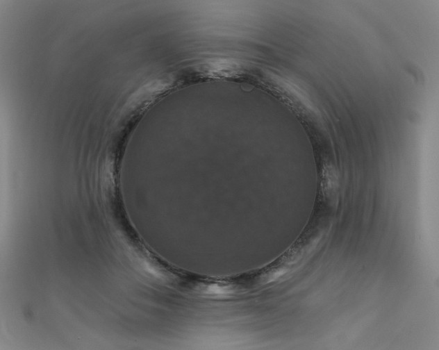 X0000110700506200906121336
