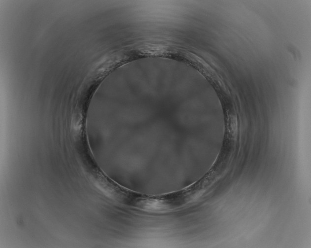 X0000110700507200906121336