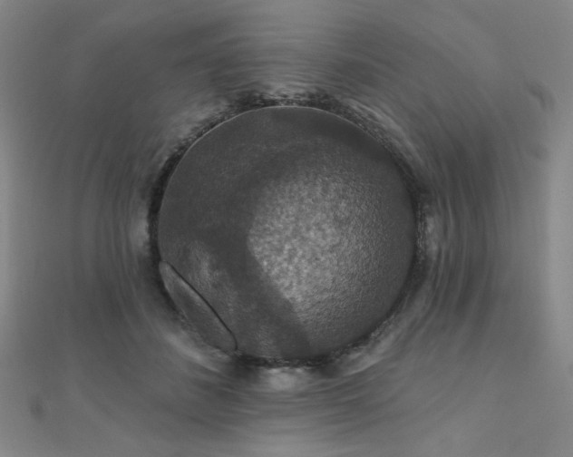 X0000110700508200906121336