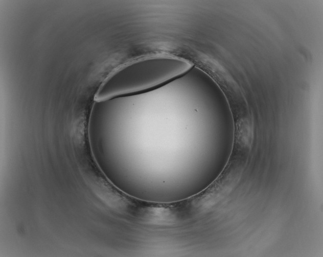 X0000110700509200906121336