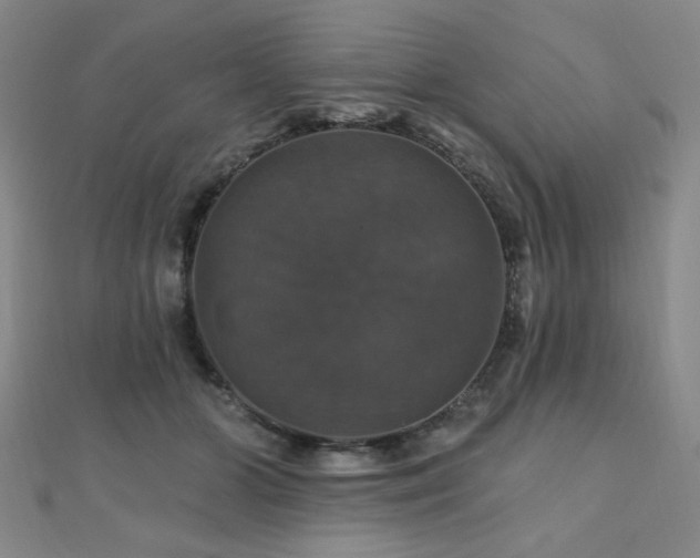 X0000110700510200906121336