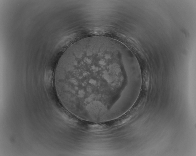 X0000110700511200906121336