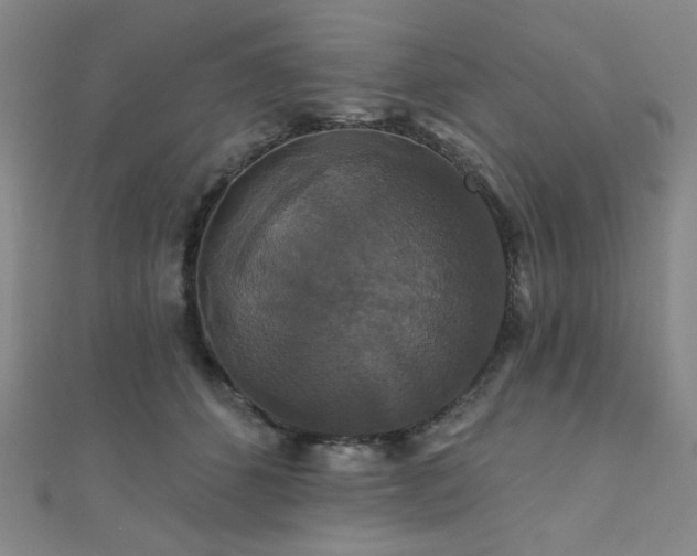 X0000110700512200906121336