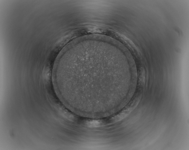 X0000110700513200906121336