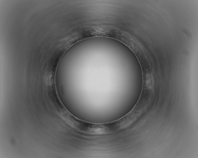 X0000110700514200906121336