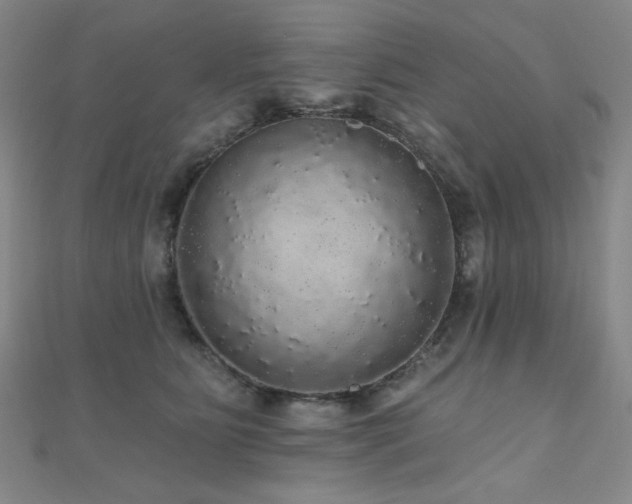 X0000110700515200906121336