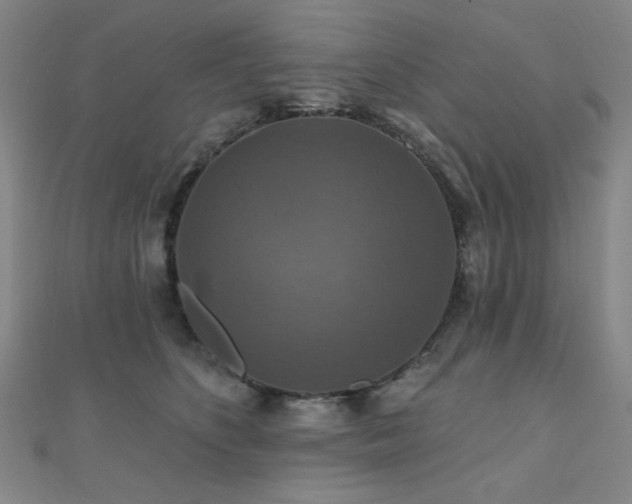 X0000110700516200906121336
