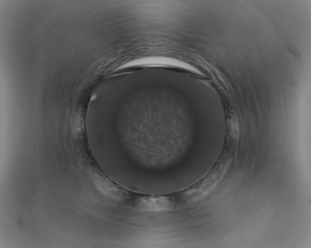 X0000110700517200906121336