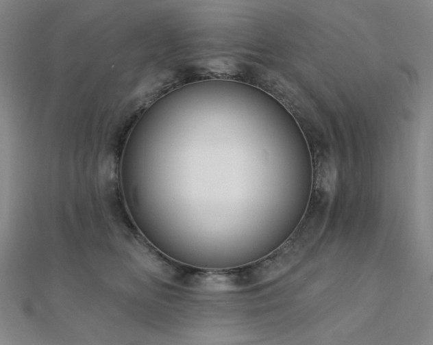 X0000110700518200906121336