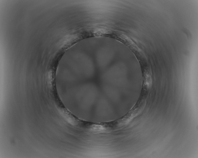 X0000110700519200906121336