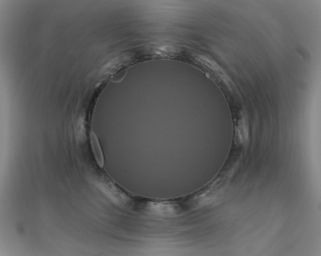 X0000110700520200906121336