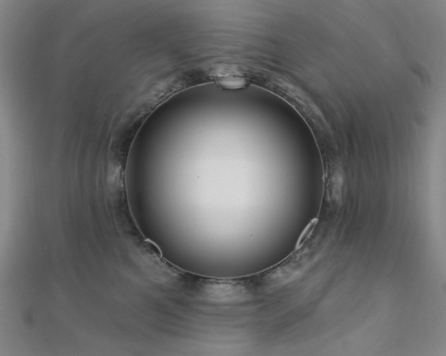 X0000110700521200906121336