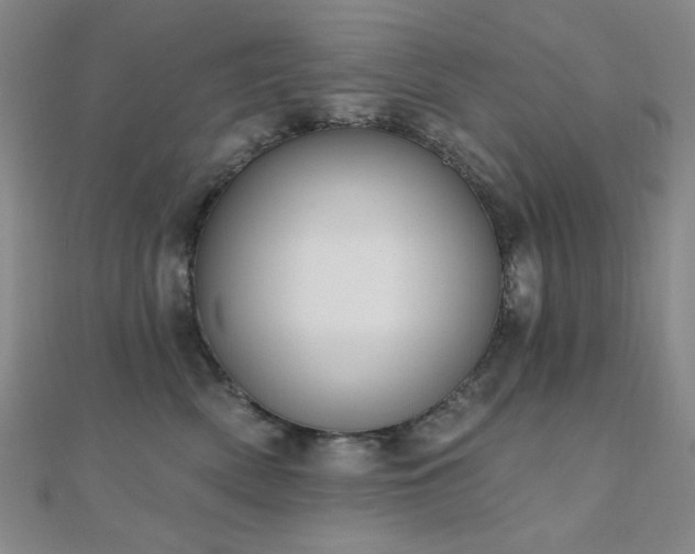 X0000110700522200906121336