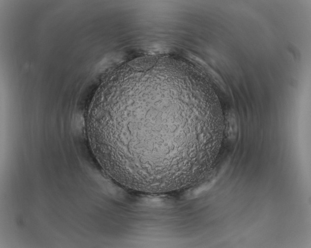 X0000110700523200906121336