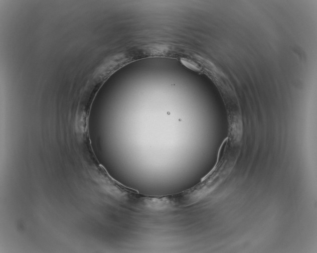 X0000110700525200906121336