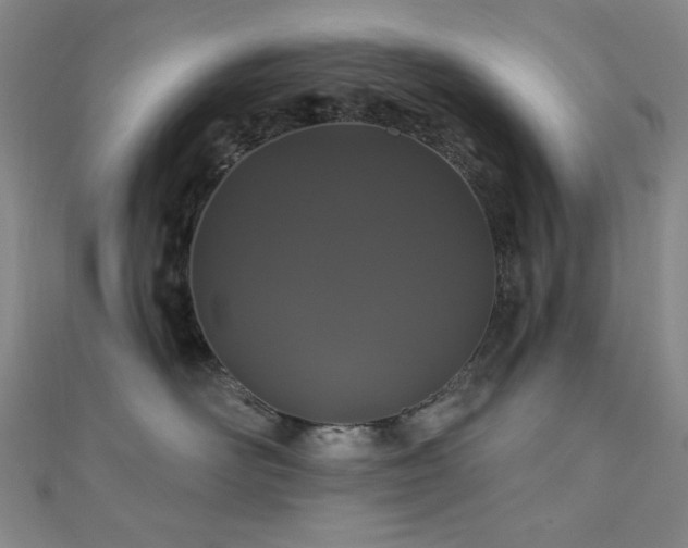 X0000110700526200906121336