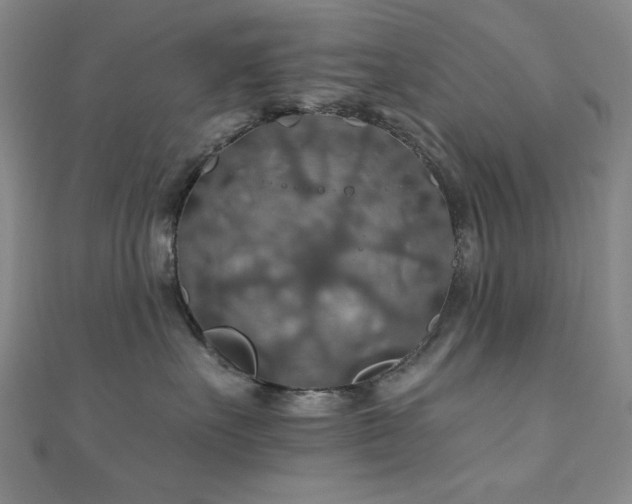 X0000110700527200906121336