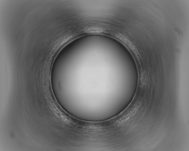 X0000110700529200906121335