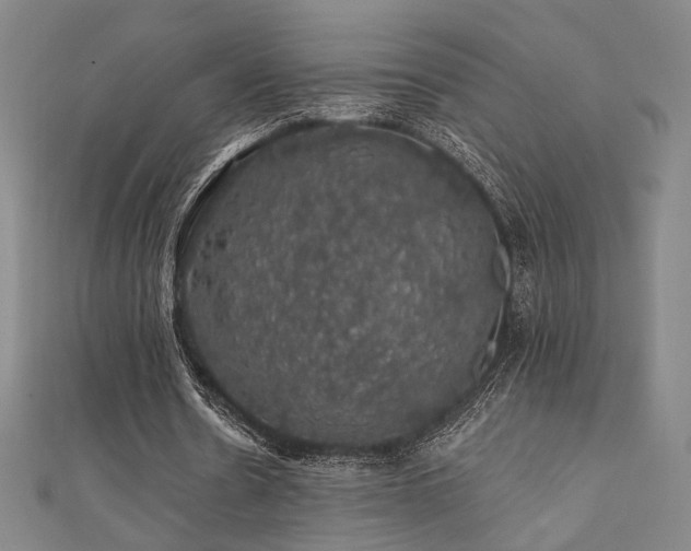 X0000110700530200906121335