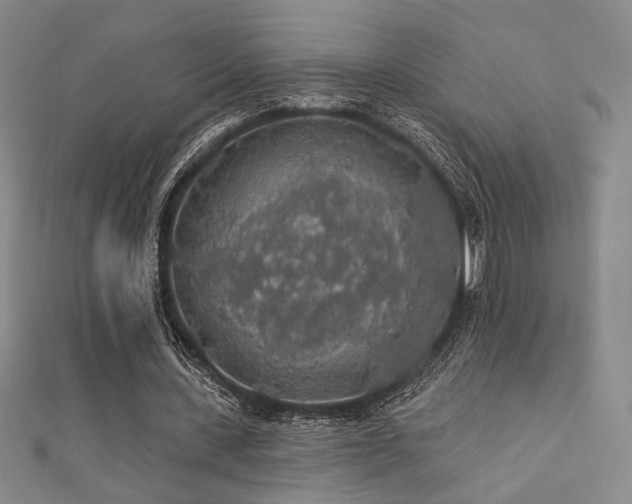 X0000110700531200906121335