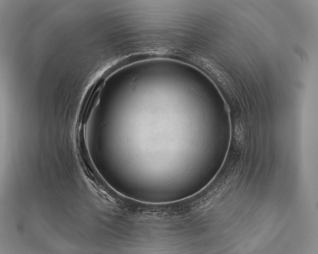 X0000110700532200906121335